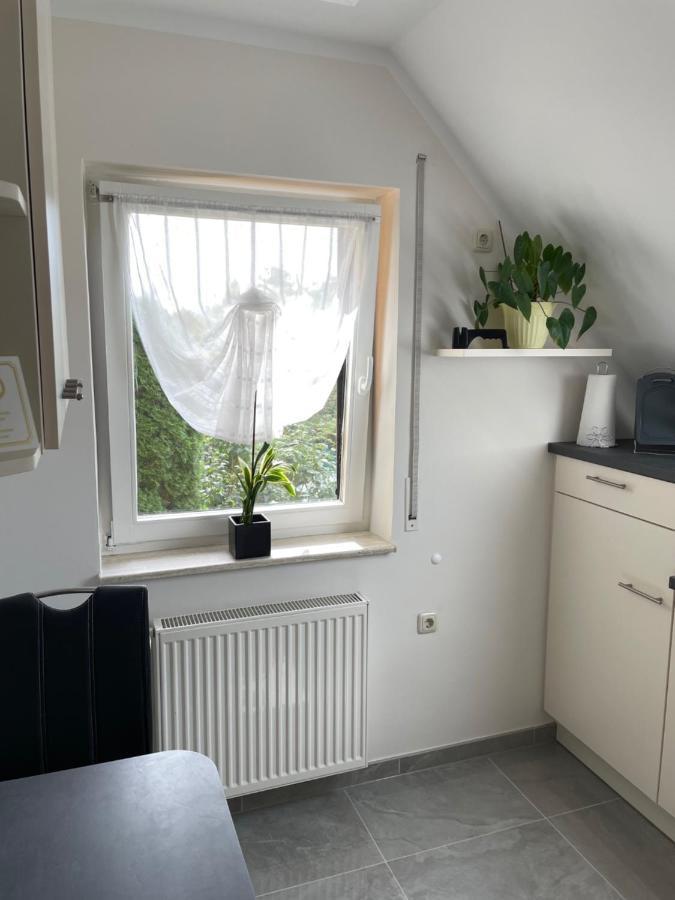 Ferienwohnung Geyer Grafenhainichen Extérieur photo